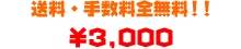 �����E�萔���S�ăR�~�R�~���i