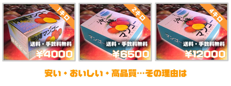 ���i���̗��R